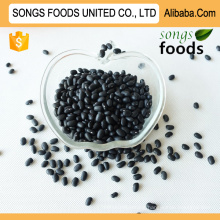 Hot selling 2014 Black Kidney Beans from China